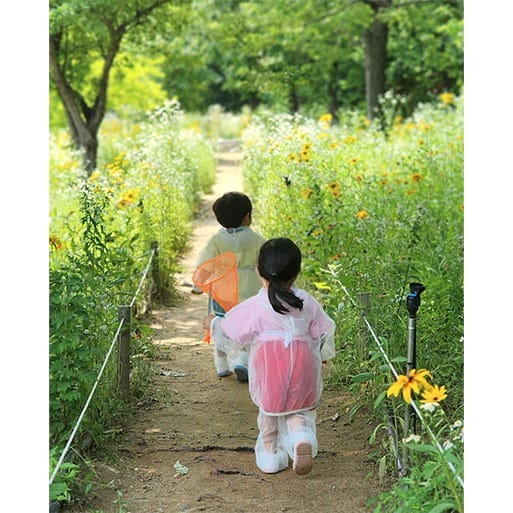 【中古】 Mosquito See Through Necks TIMBUKTOO MOSQUITO NETS - Midges Head Net - Mosquito, Midge